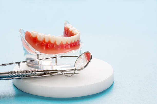 Best Cosmetic Dentistry  in Burley, WA